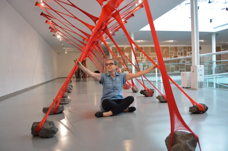 María Ezcurra. Lines of Flight